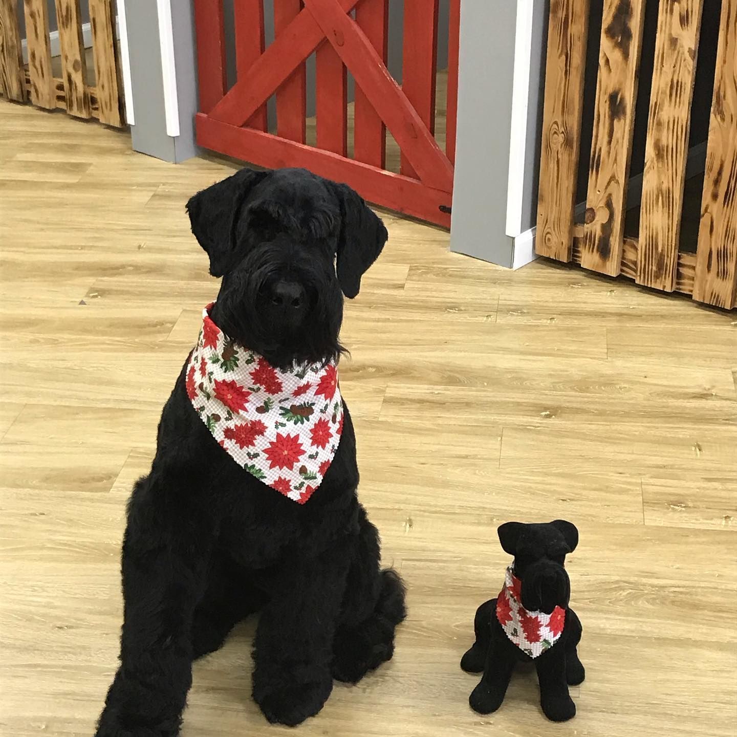 Black dog with red floral bandana next to a smaller stuffed animal version