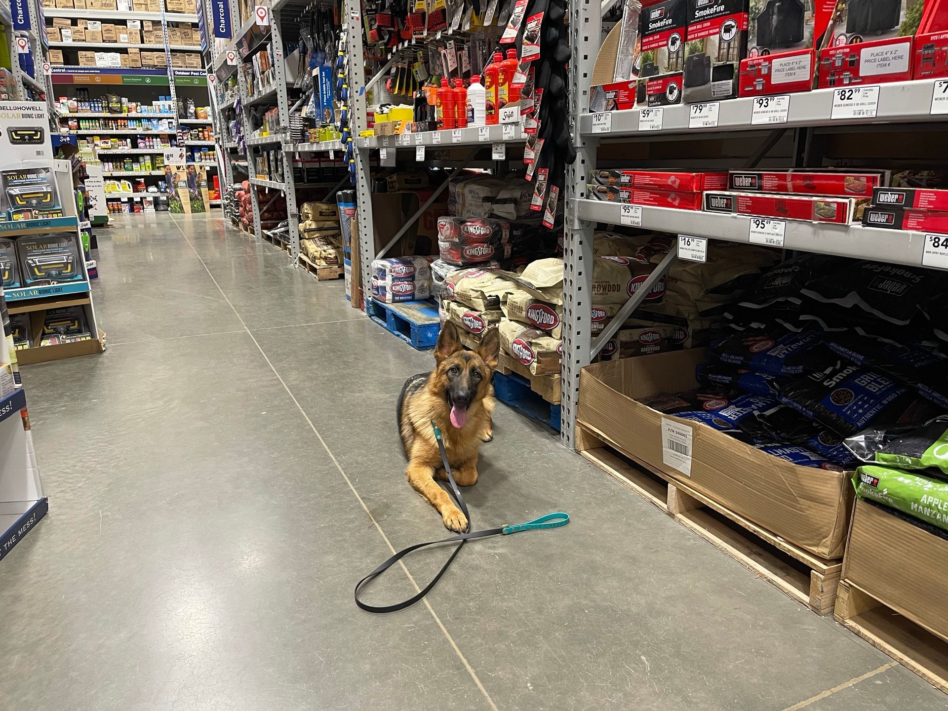 About Us | Cave Creek K9 | Arizona Dog Trainer