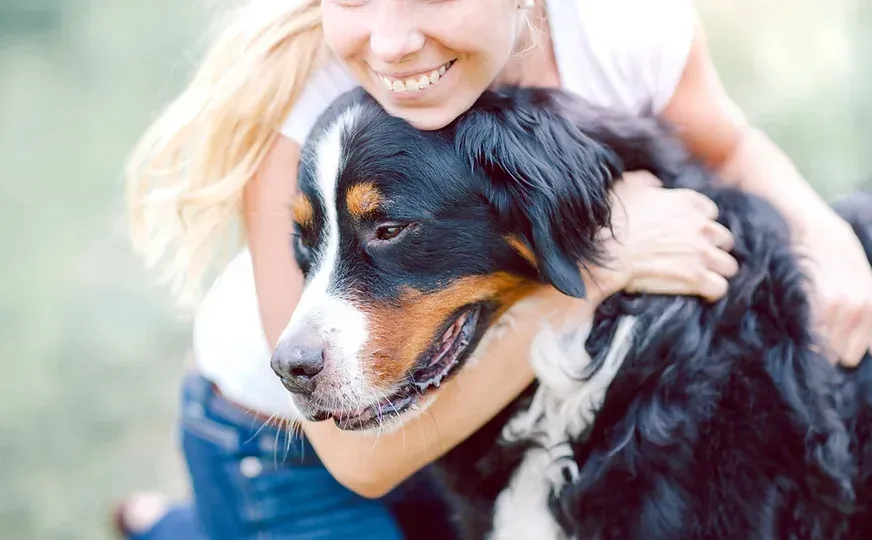 Dog Training Programs | Cave Creek K9 | Arizona Dog Trainer