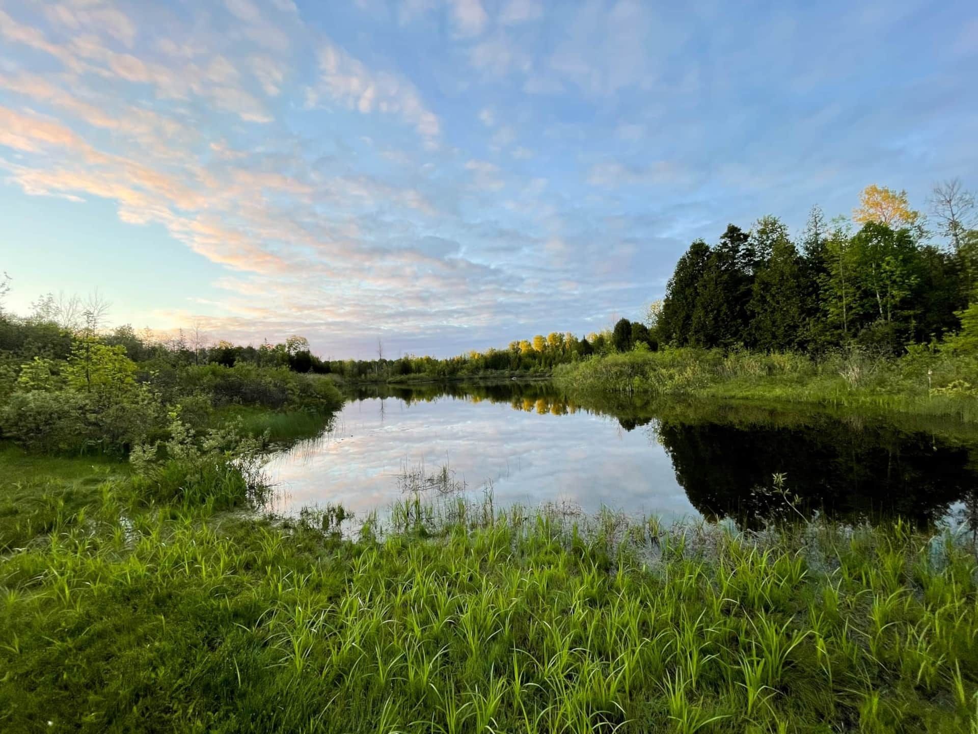 A large body of water surrounded by grass and trees.