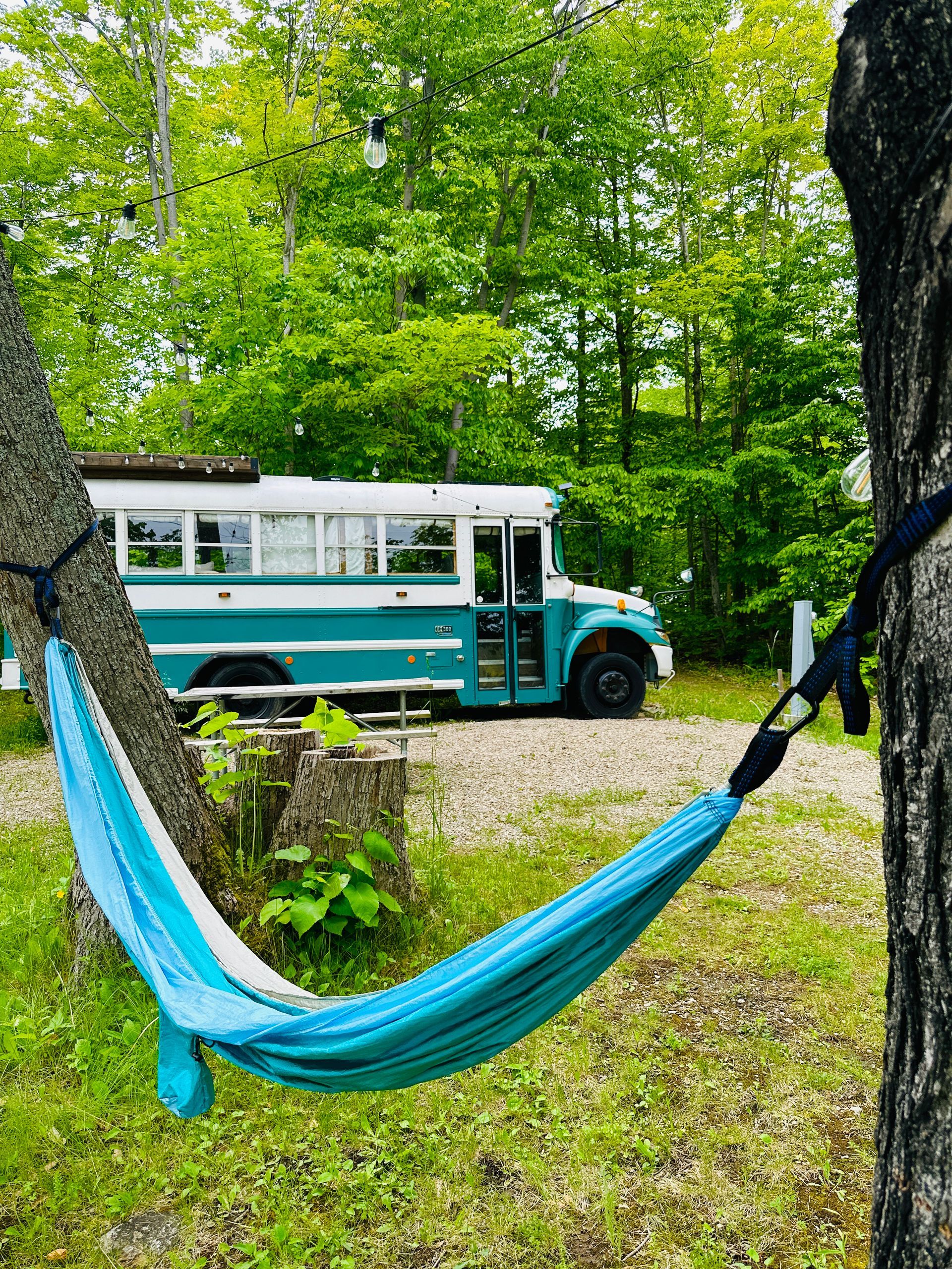 A blue hammock is hanging from a tree in front of a school bus.