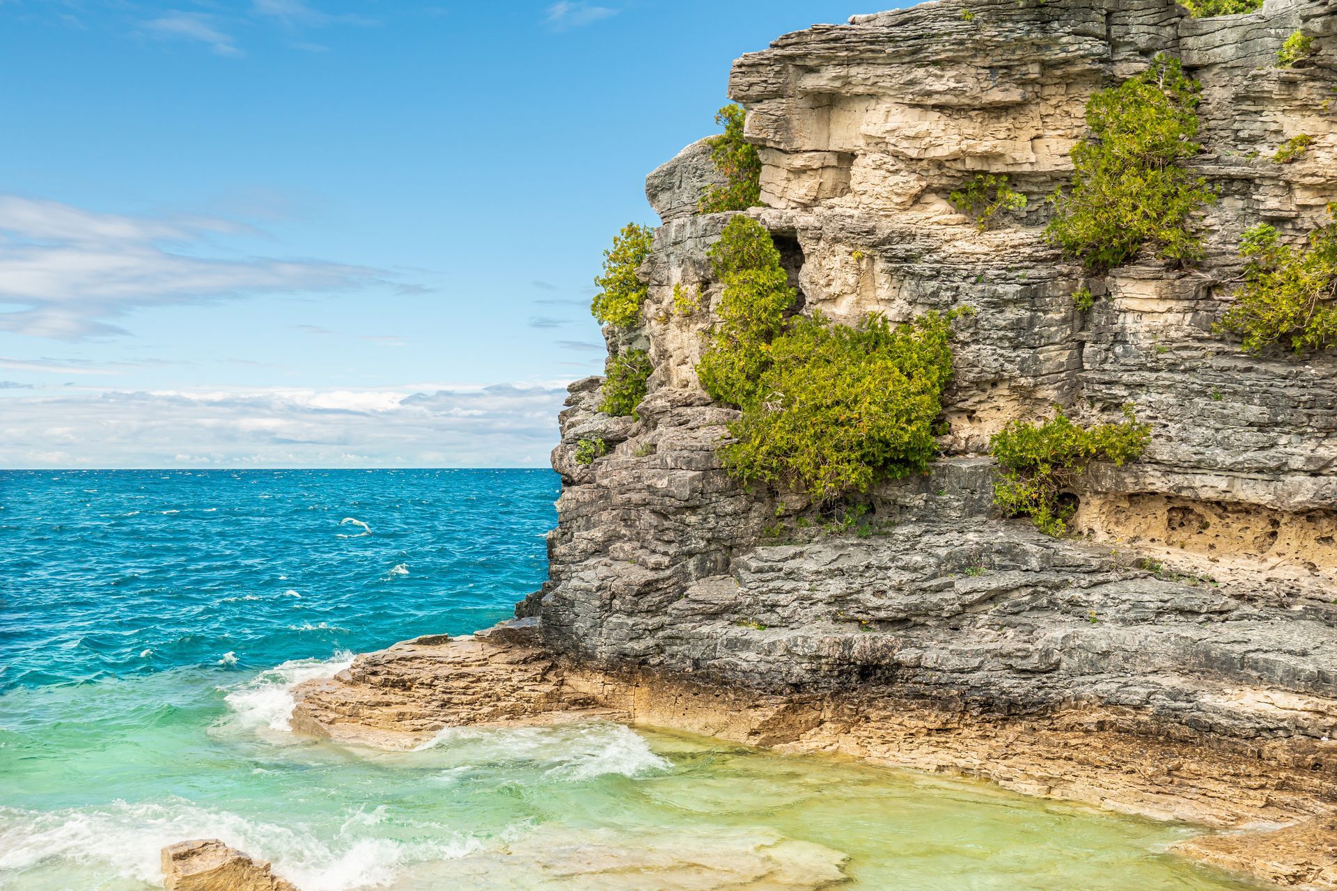 A rocky cliff overlooking the ocean with trees on it.