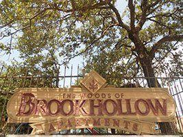 The woods of brookhollow