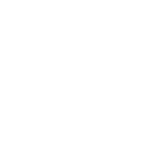 Electric plug with lightning bolt symbol.