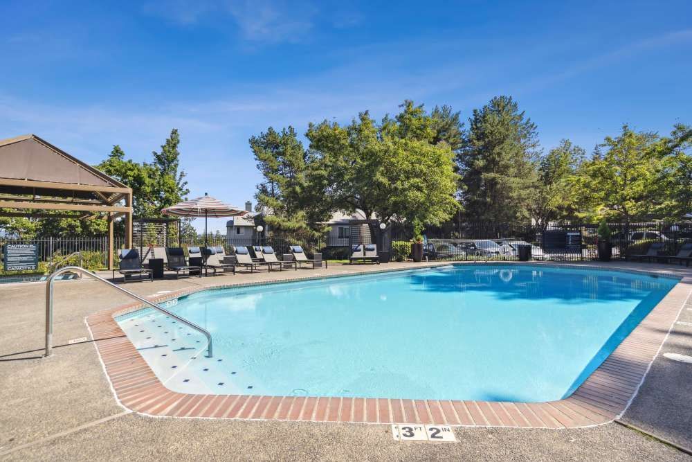 Outdoor pool with lounge chairs, umbrellas, and surrounding trees at a residential community.