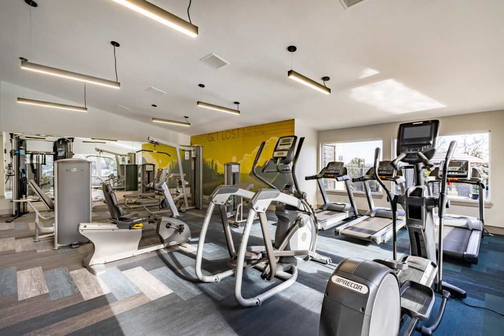Interior of a modern apartment community gym with cardio machines and weight equipment.