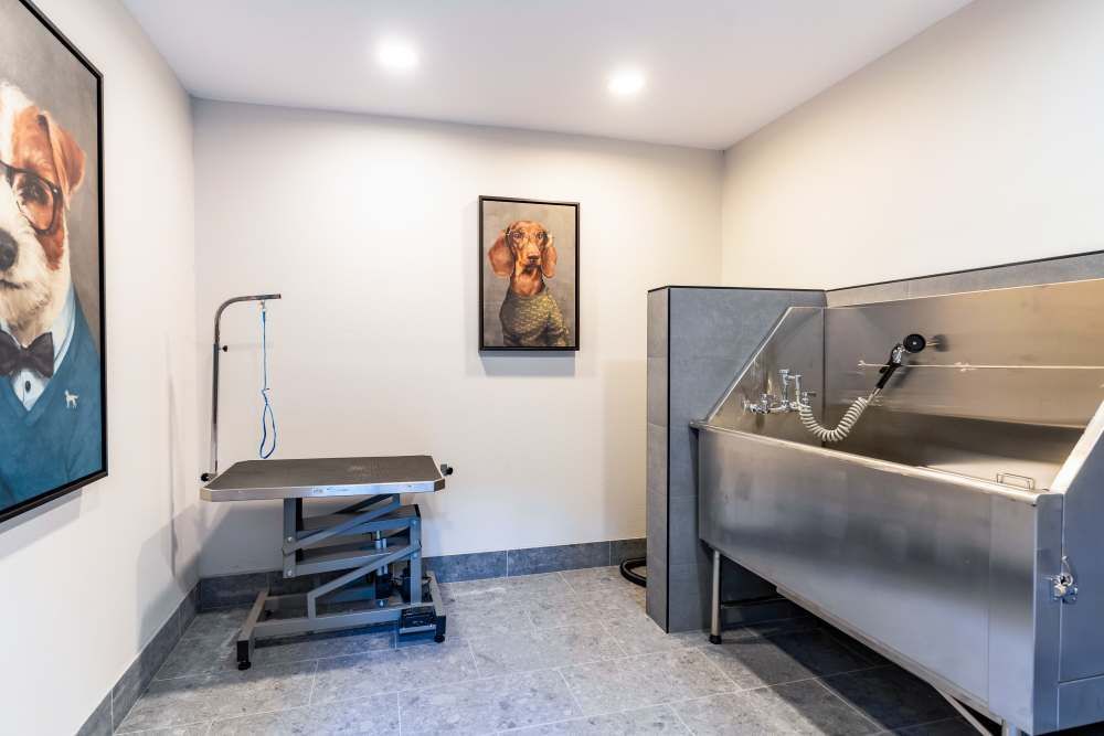 Pet washing station with stainless steel tub and grooming table in a shared amenity room.