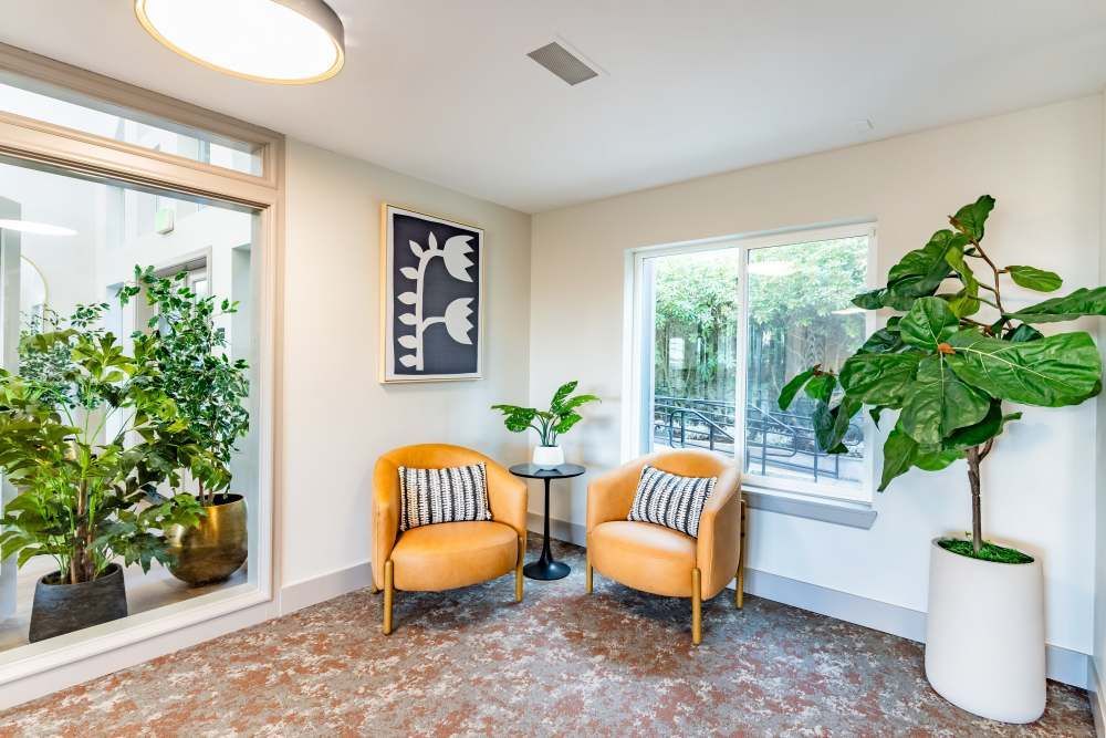 Bright lounge area with two orange armchairs, leafy plants, and large window.
