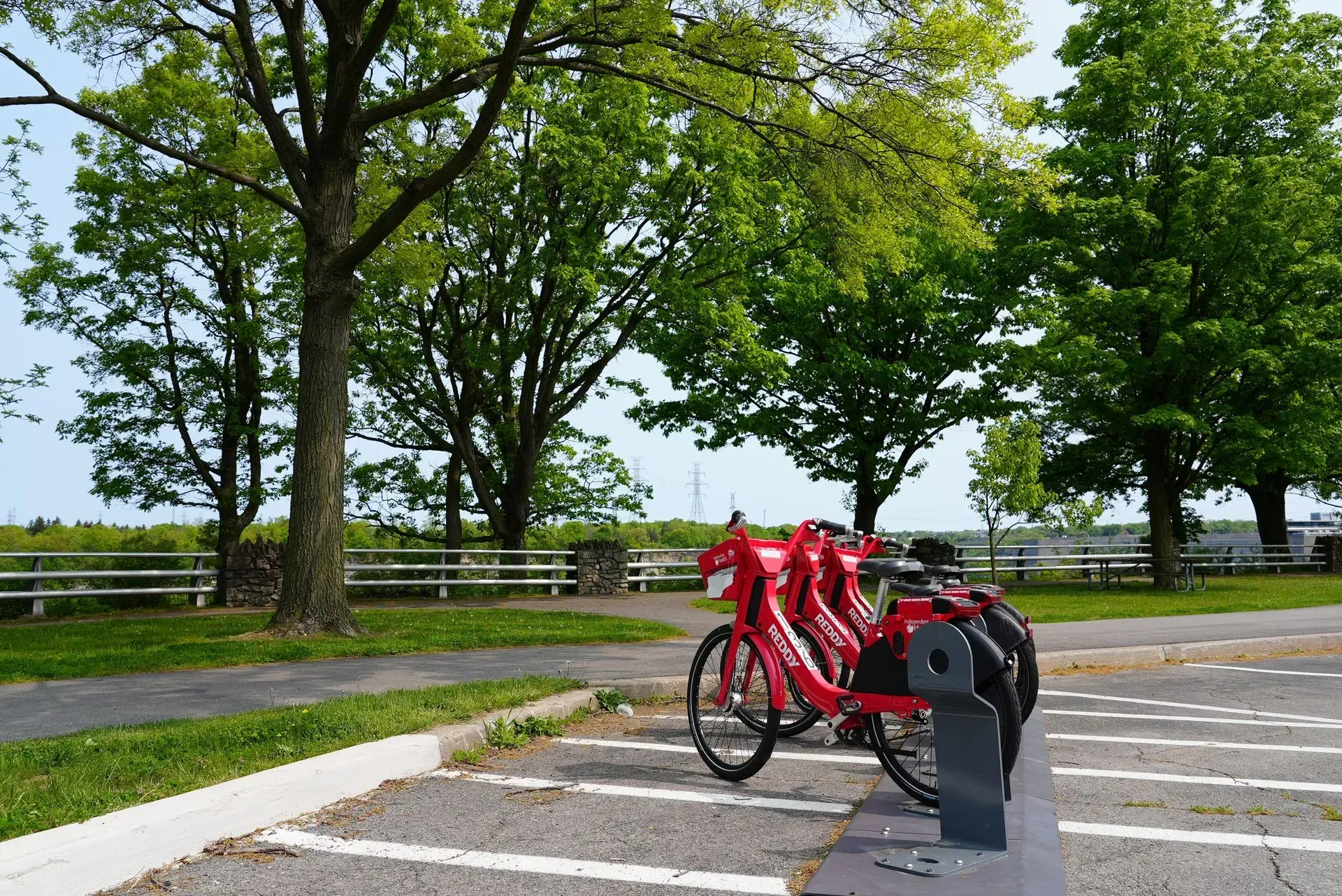 Two red bikes are parked in a parking lot with trees in the background