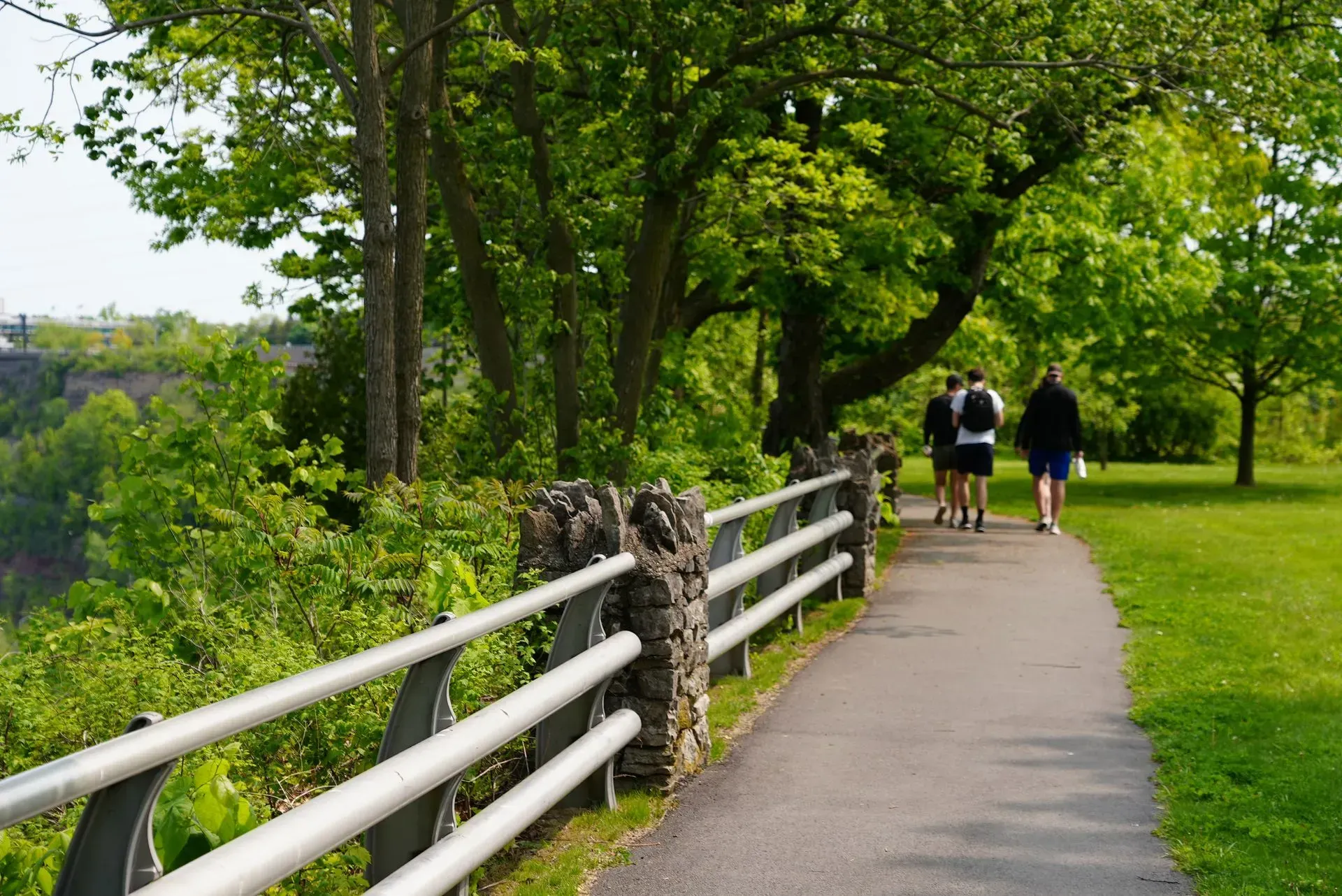 A group of people are walking down a path in a park.