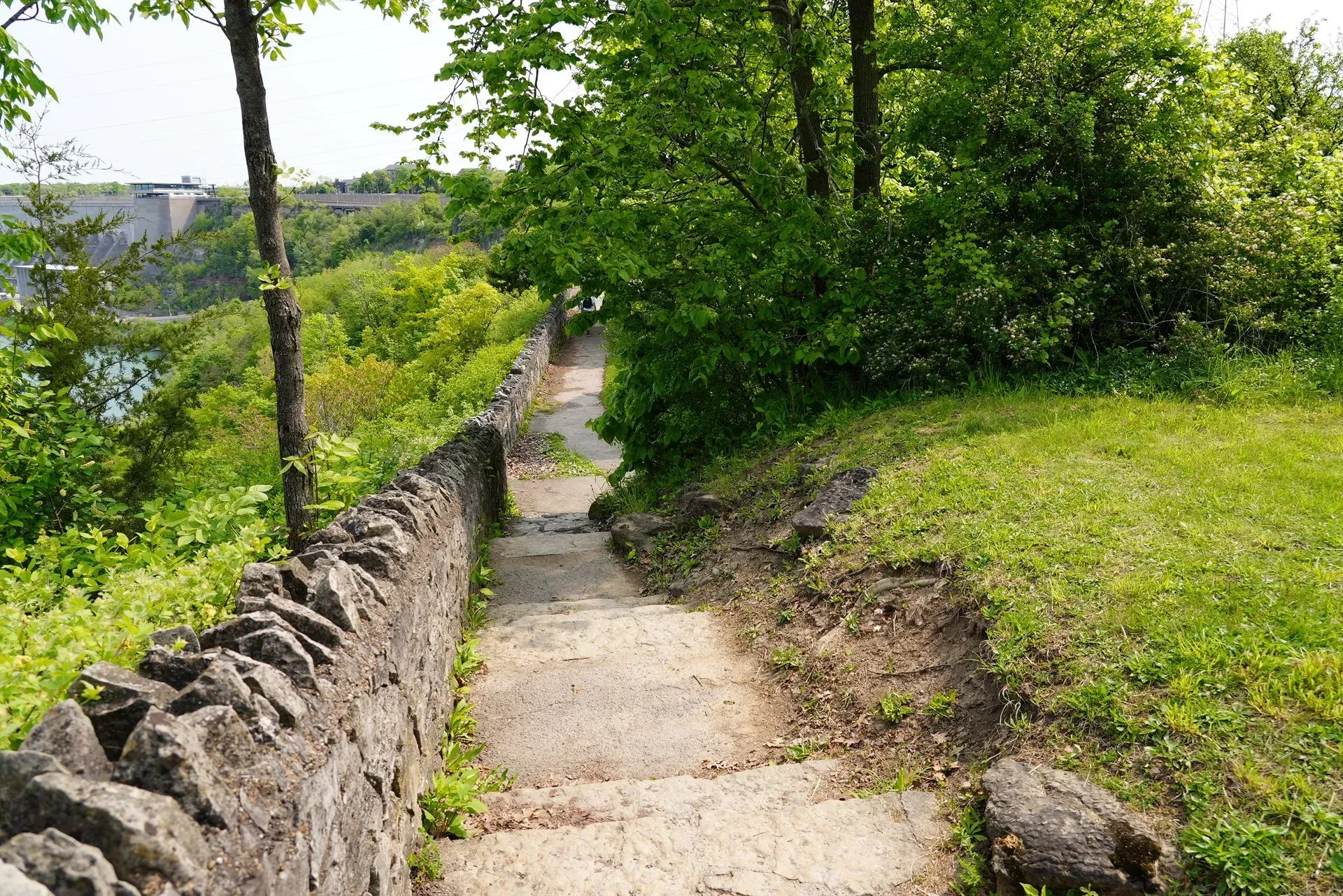 A stone wall along the side of a path in the woods.