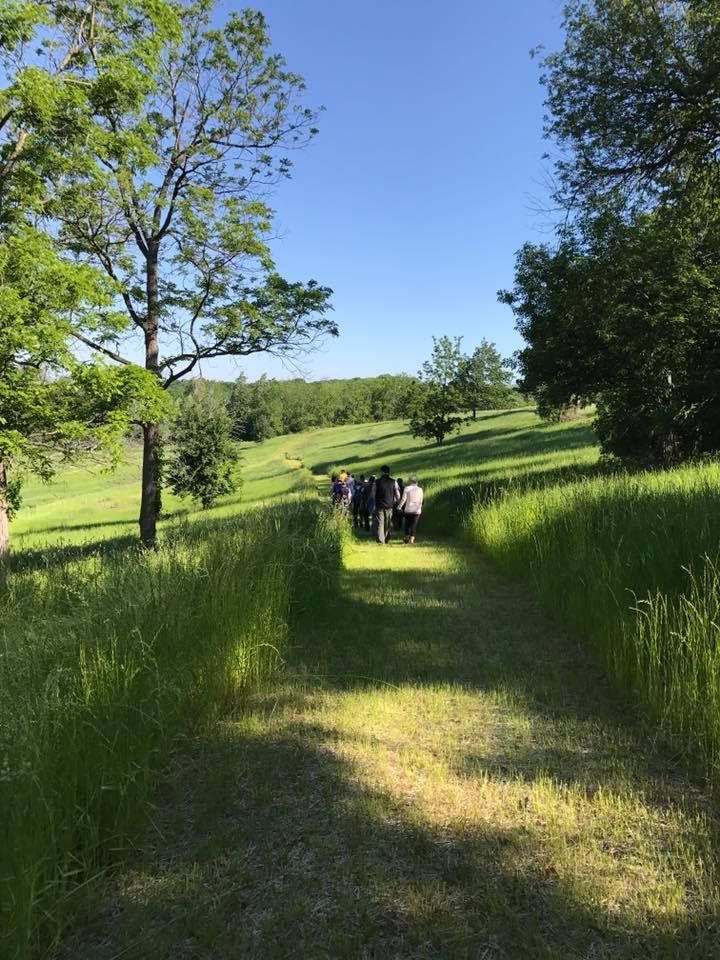 A group of people are walking down a path in a field.