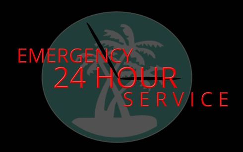 An emergency 24 hour Plumbing service logo with a palm tree