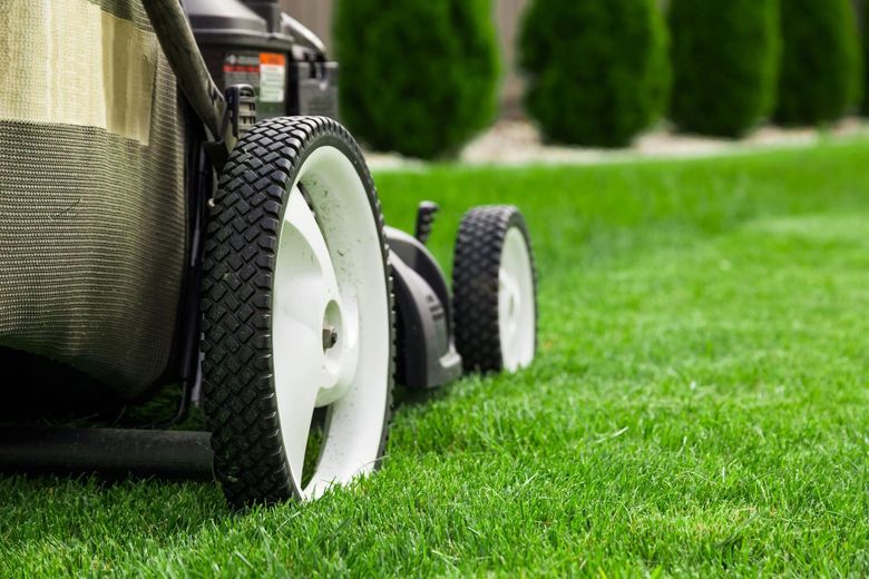 A lawn mower is cutting a lush green lawn.