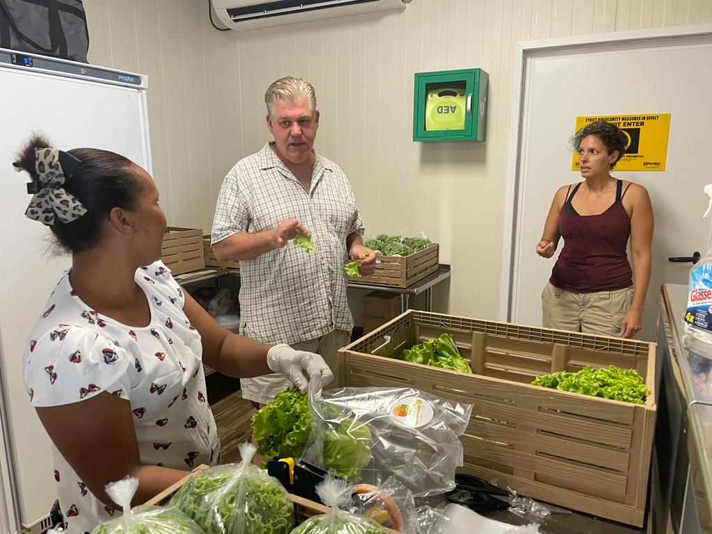 Erik Wolf at Daily Fresh hydroponics grower on Bonaire