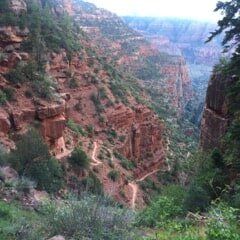 Trail on Grand Canyon Patricia Ruddy