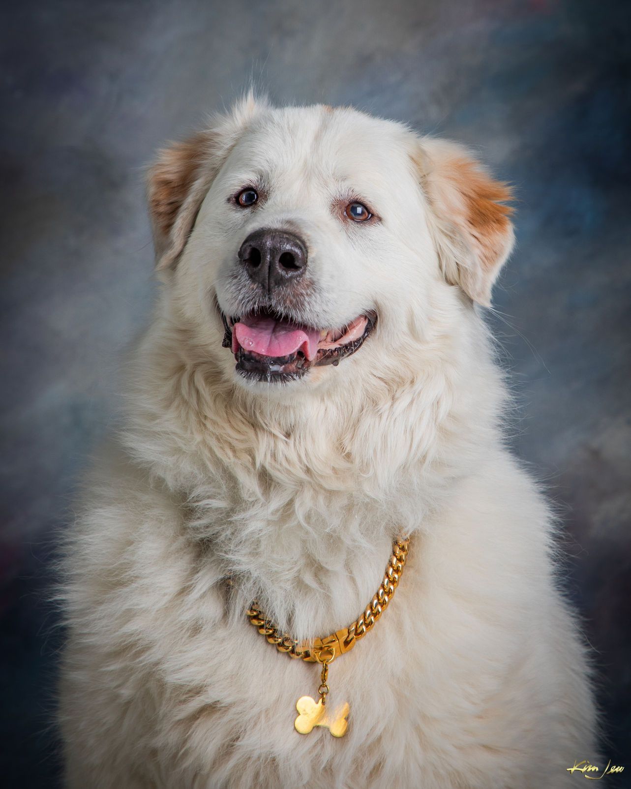 A white dog is wearing a gold necklace and smiling.