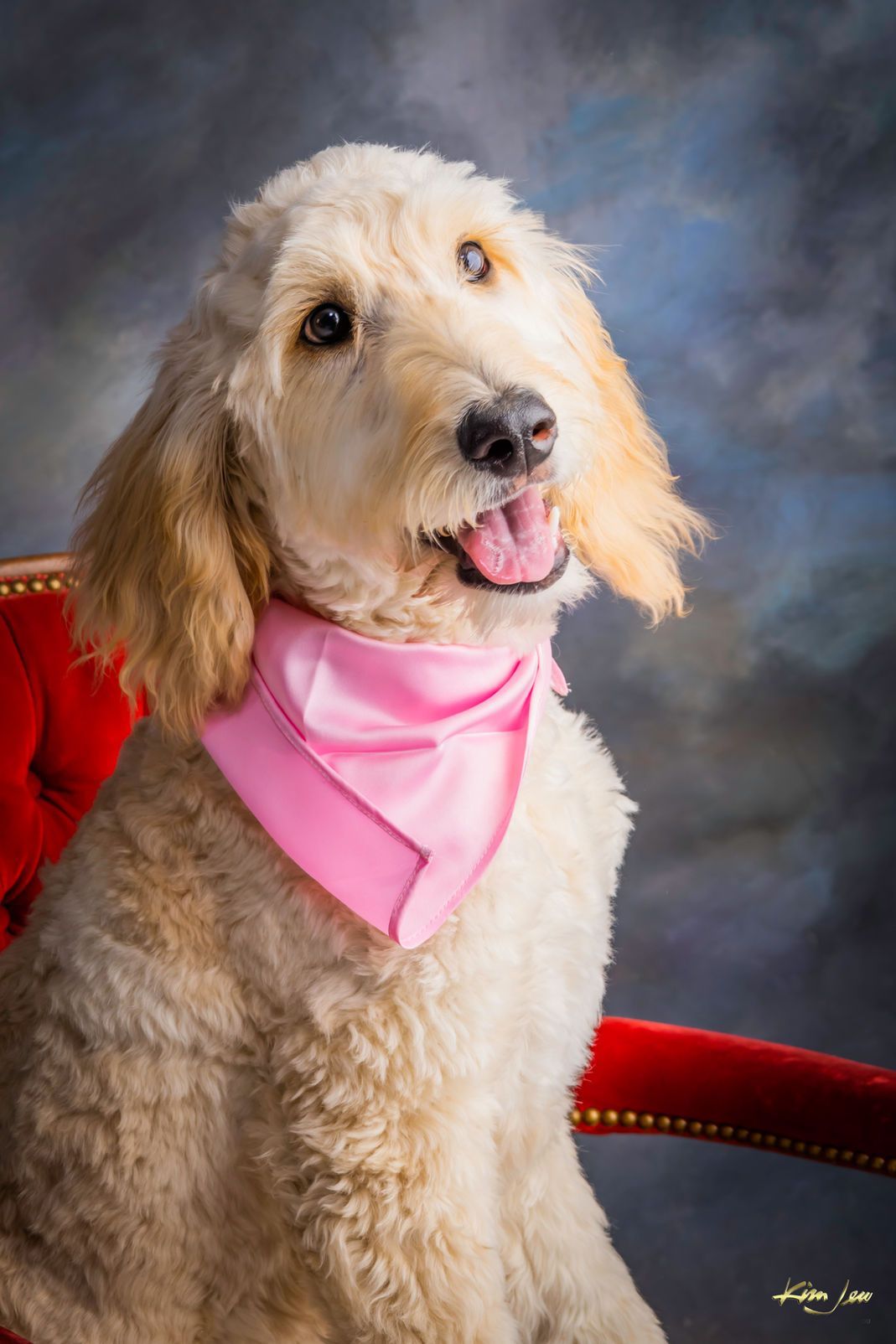A dog wearing a pink bandana is sitting on a red chair.