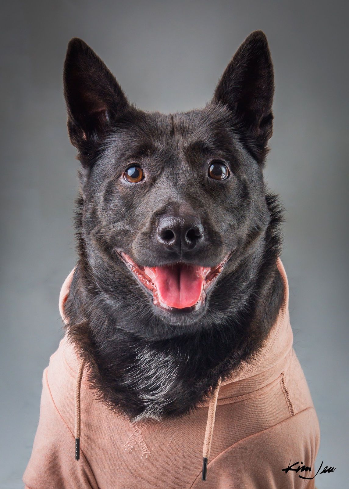 A black dog is wearing a brown hoodie and smiling.