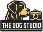 The Dog Studio NM