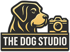 The Dog Studio NM