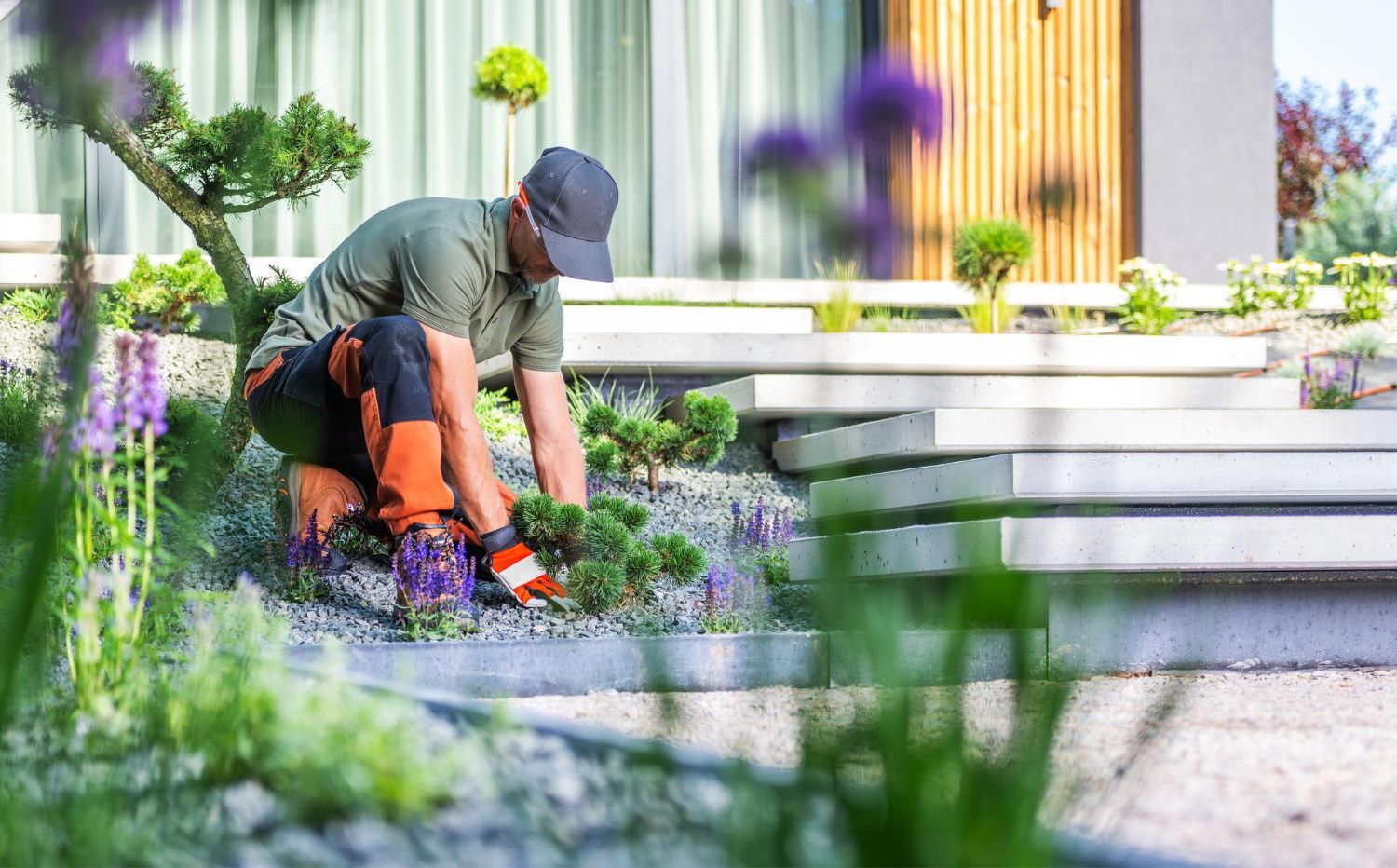 Gardener tending plants and ground cover near steps of a modern home.
