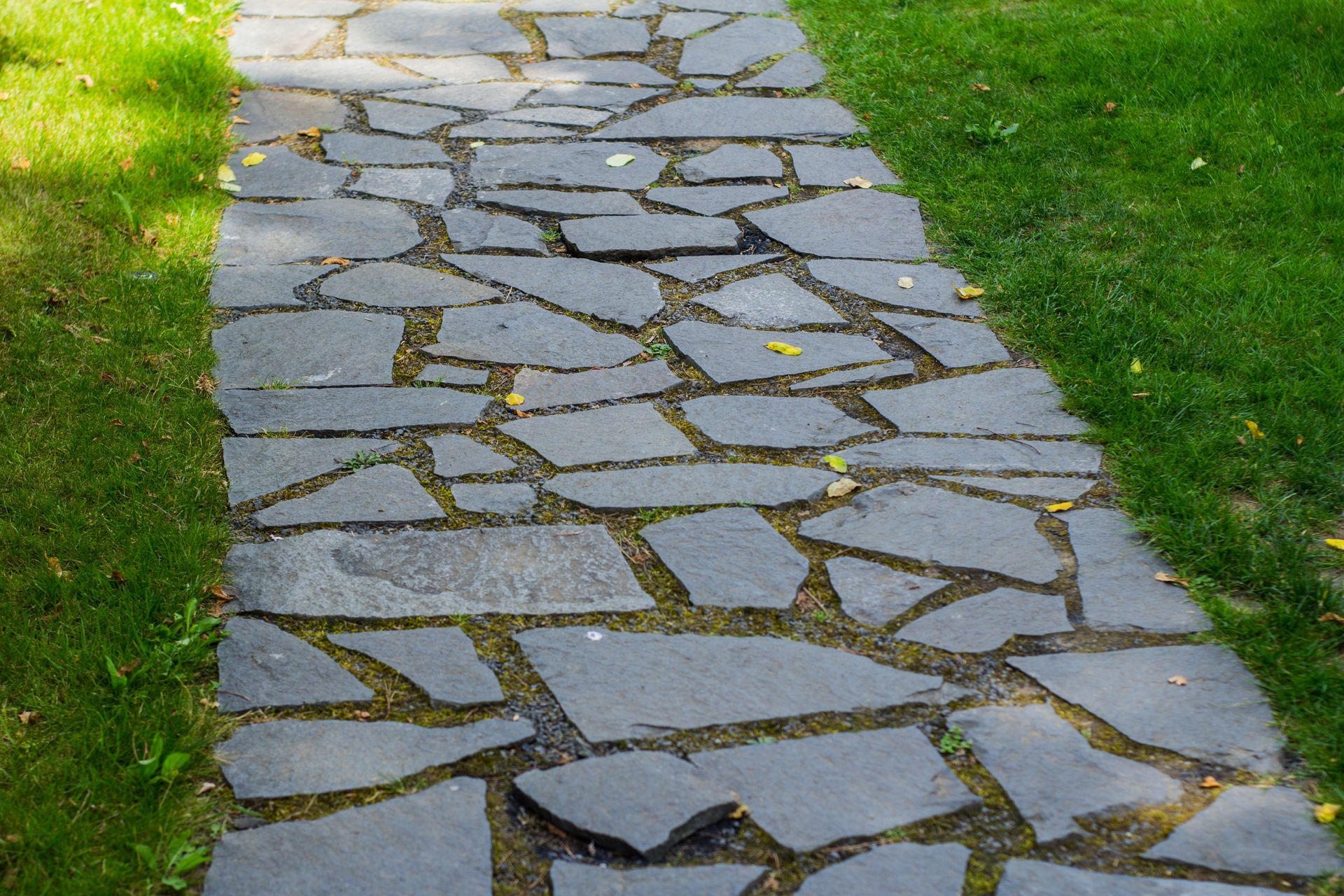 Flagstone path through green grass, dappled sunlight.