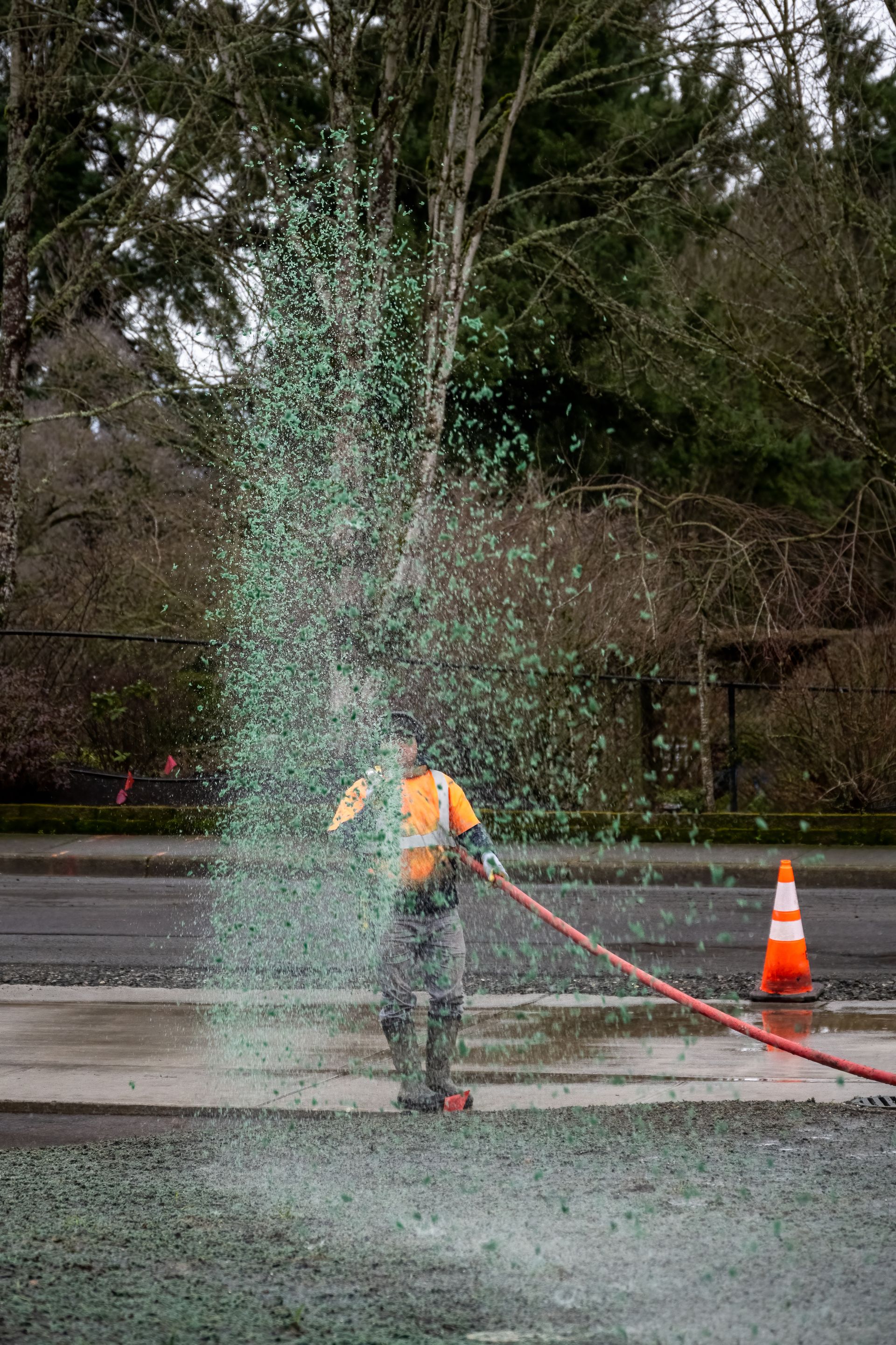 Worker spraying green seeds on a street, orange vest, traffic cone, and a tree in the background.