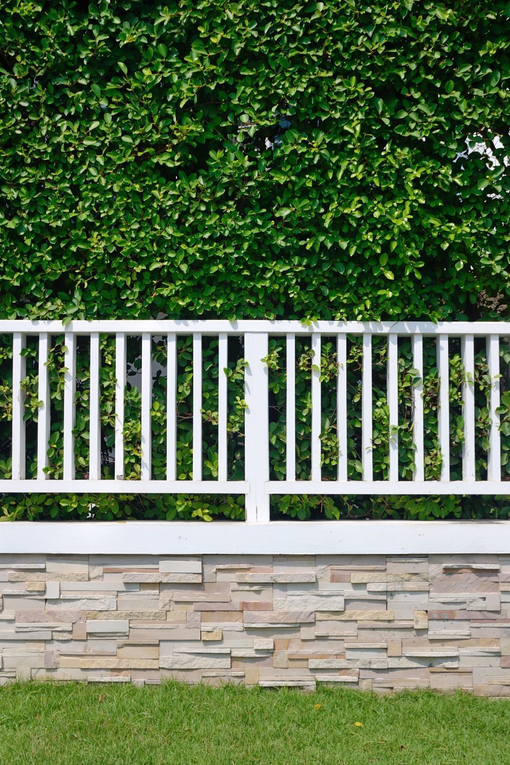 White picket fence in front of a stone wall with green grass and a hedge in the background.