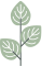 Green leaves on a slender gray stem.