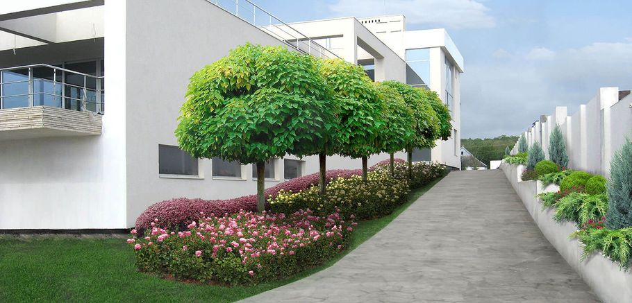 A modern building with a pathway lined with trees and colorful flowerbeds, a sunny day.