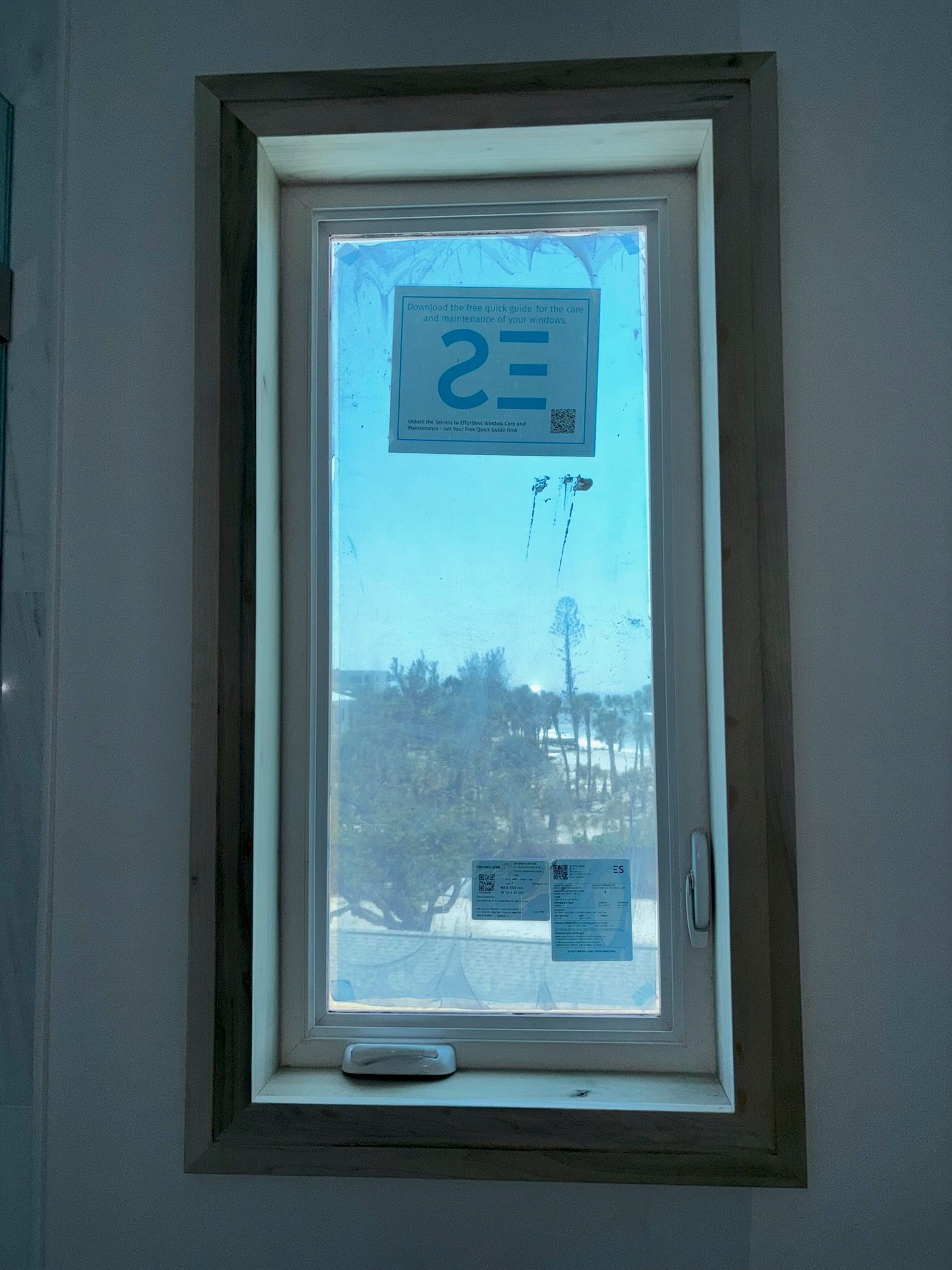 Window with wooden frame, interior view. Blue protective film on glass, view of trees and sky visible.