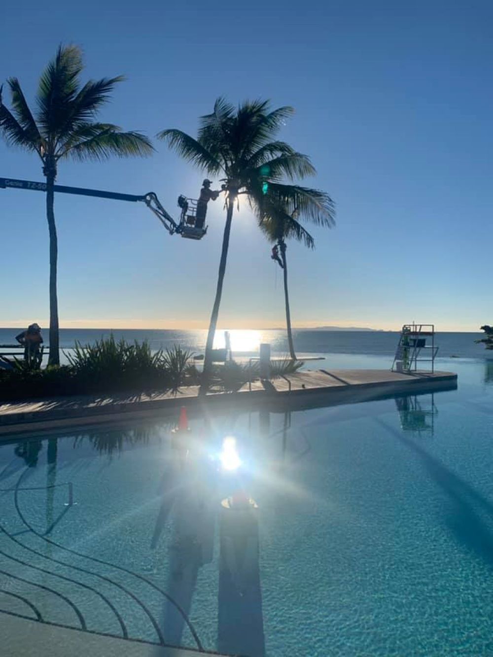 A Swimming Pool with Palm Trees in The Background — Troy Weier Tree Service In Frenchville, QLD