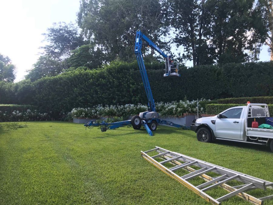 A White Truck Is Parked in A Grassy Yard Next to A Ladder and A Crane — Troy Weier Tree Service In Frenchville, QLD