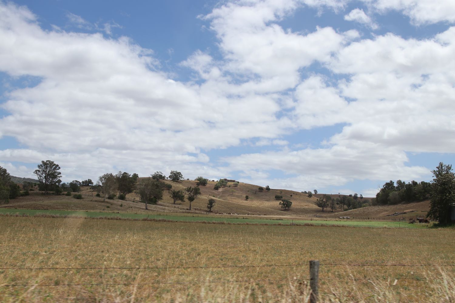 A Field with A Barbed Wire Fence and Trees in The Background — Troy Weier Tree Service In Gracemere, QLD