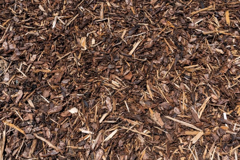 A Pile of Brown Mulch Is Sitting on The Ground — Troy Weier Tree Service In Frenchville, QLD