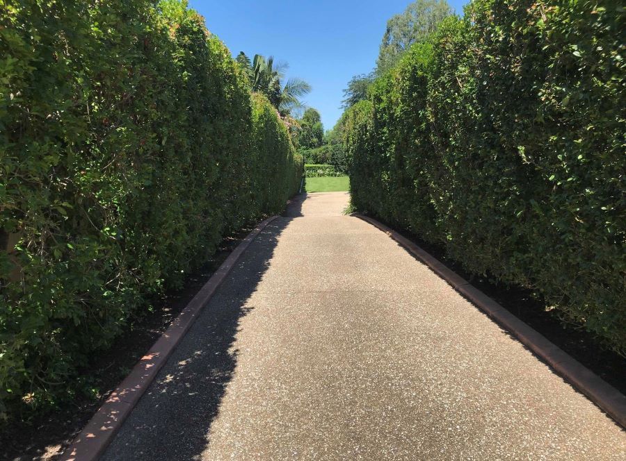 A Narrow Road with Trees on Both Sides of It — Troy Weier Tree Service In Frenchville, QLD