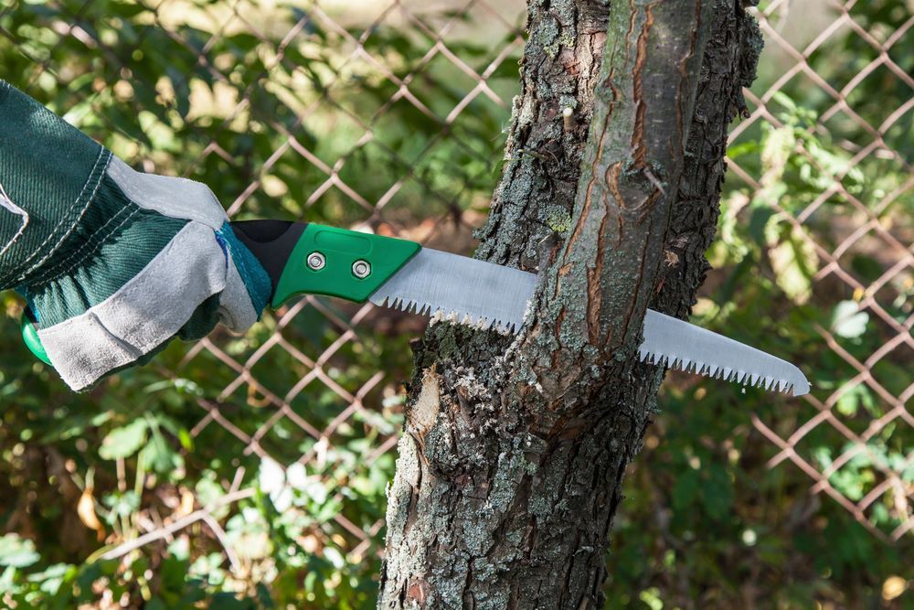 A Person Is Cutting a Tree with A Saw — Troy Weier Tree Service In Frenchville, QLD
