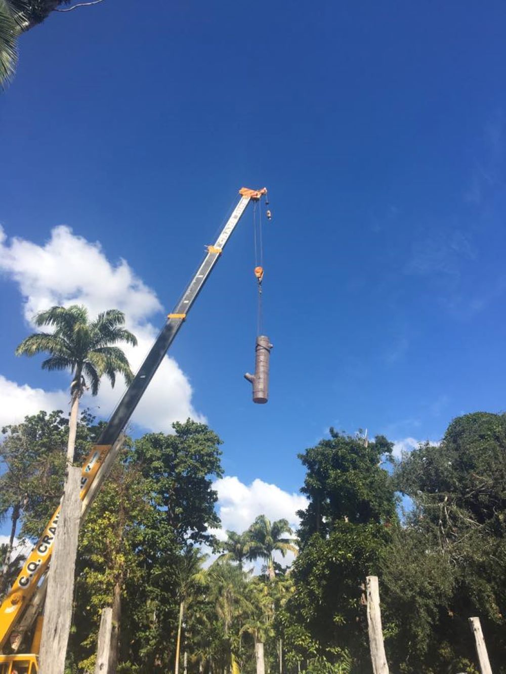 A Crane Is Lifting a Tree Trunk in The Air — Troy Weier Tree Service In Frenchville, QLD