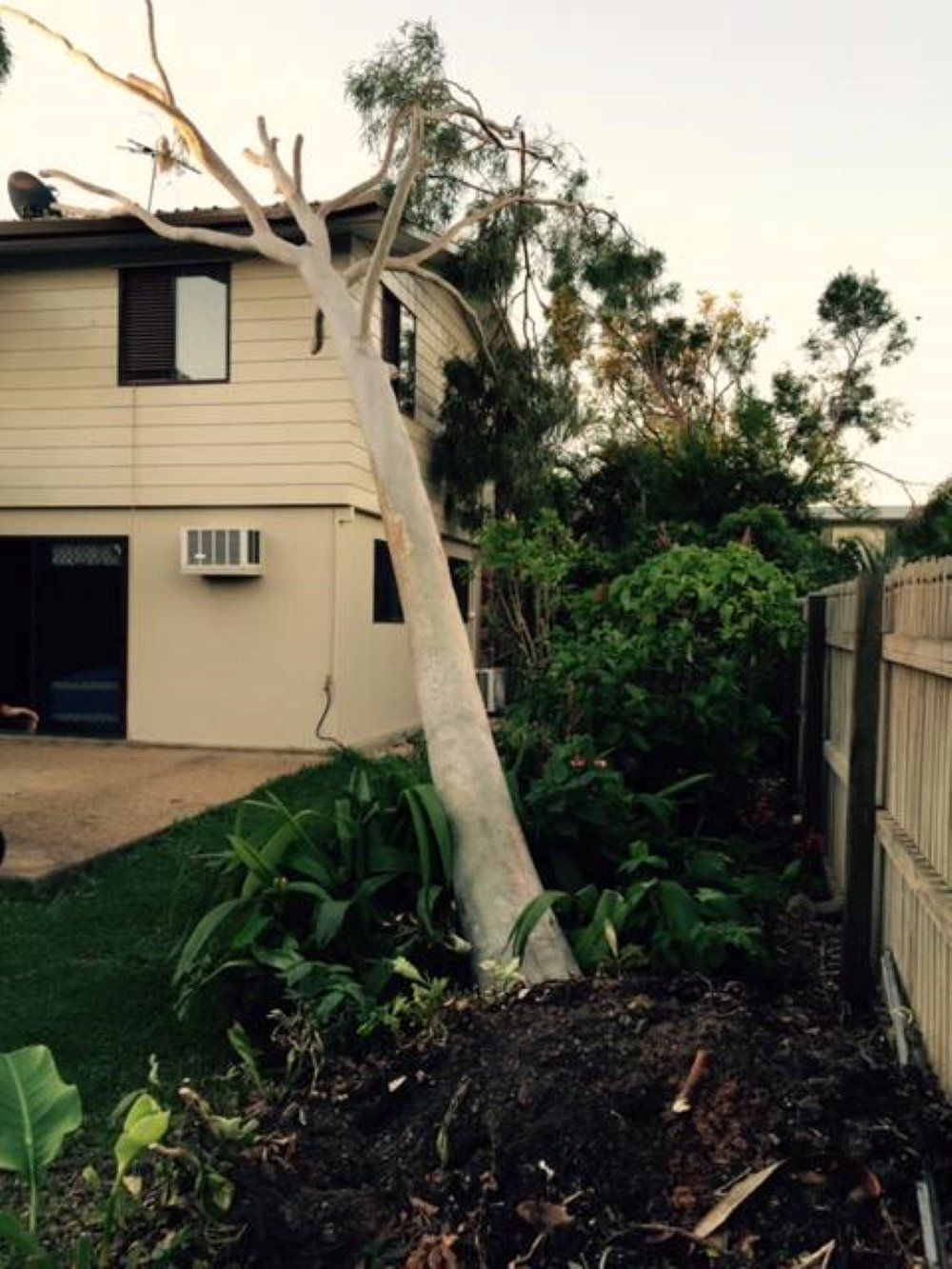 A Tree that Has Fallen in Front of A House — Troy Weier Tree Service In Frenchville, QLD
