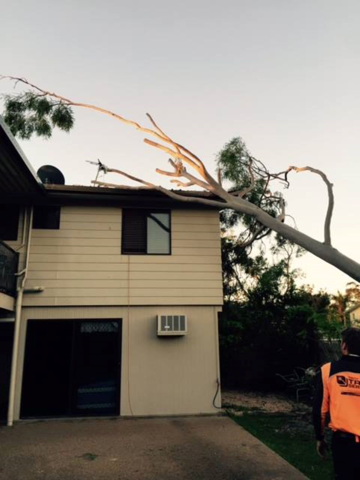 A House with A Tree that Has Fallen on It — Troy Weier Tree Service In Frenchville, QLD