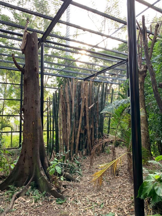 A Greenhouse Filled with Lots of Trees and Plants — Troy Weier Tree Service In Frenchville, QLD