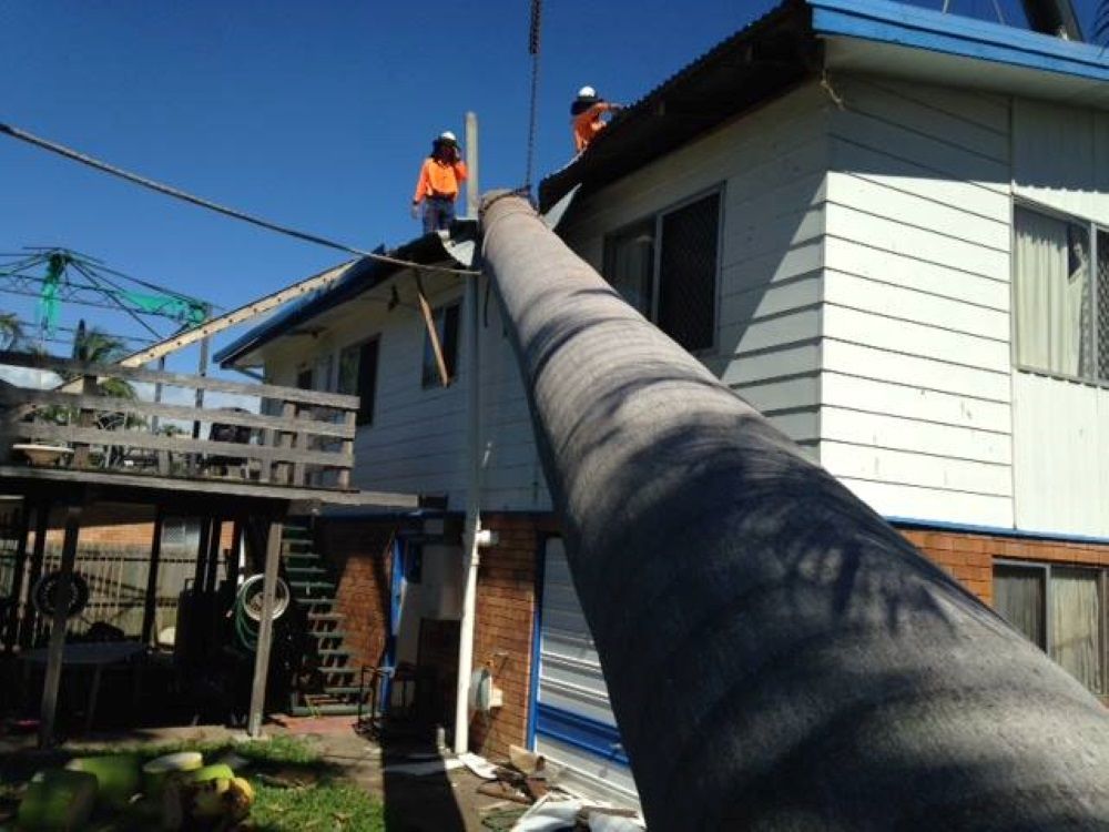 Two Men Are Working on The Roof of A House — Troy Weier Tree Service In Frenchville, QLD