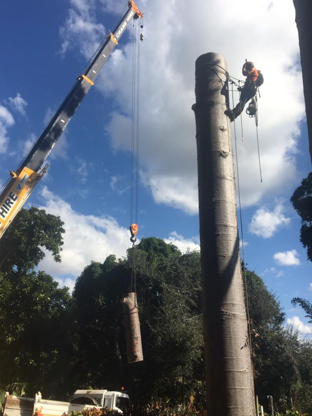 A Crane with The Word Hire on It Is Lifting a Tree Trunk — Troy Weier Tree Service In Frenchville, QLD