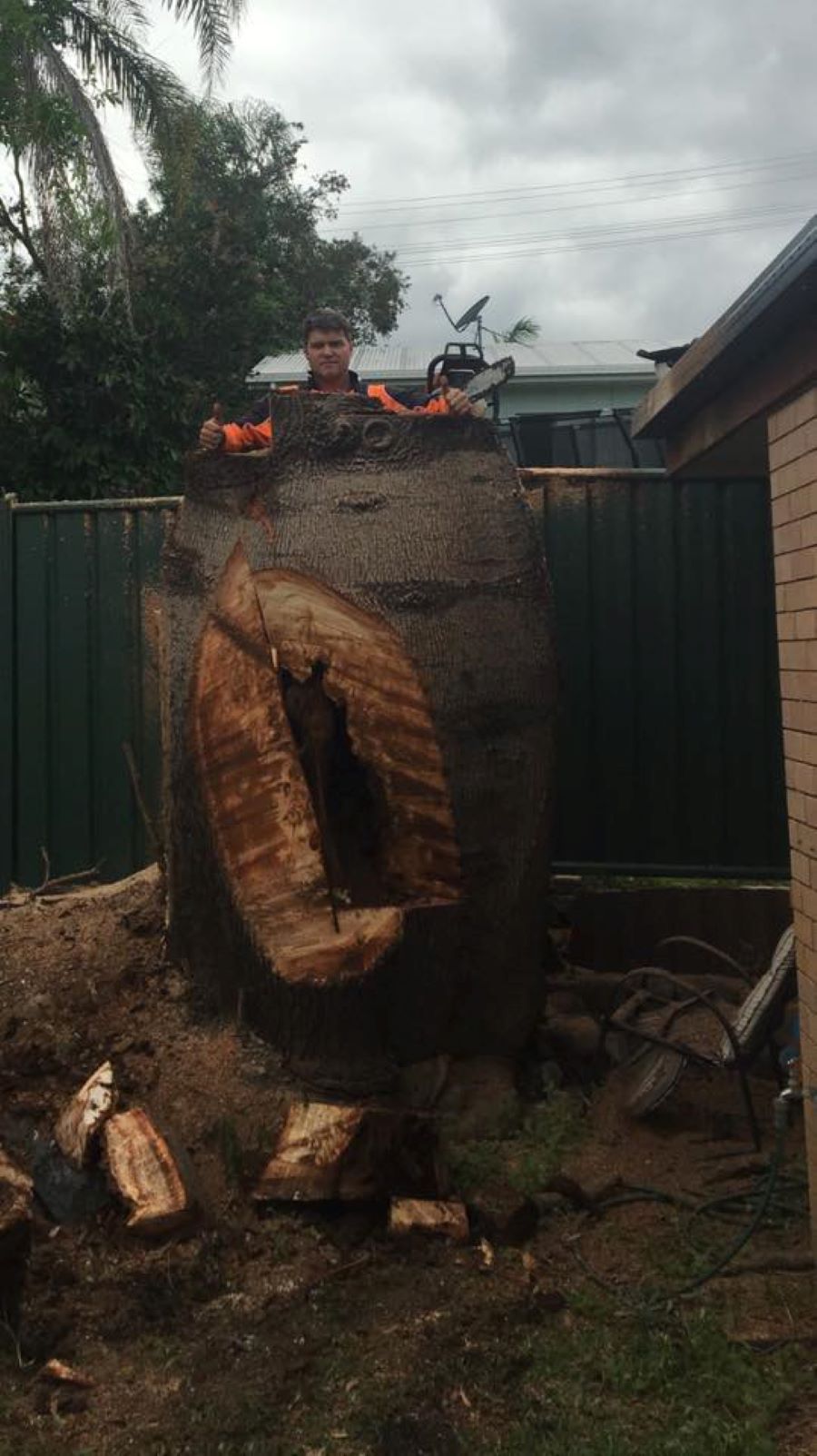 A Man Is Standing on Top of A Large Tree Stump — Troy Weier Tree Service In Frenchville, QLD