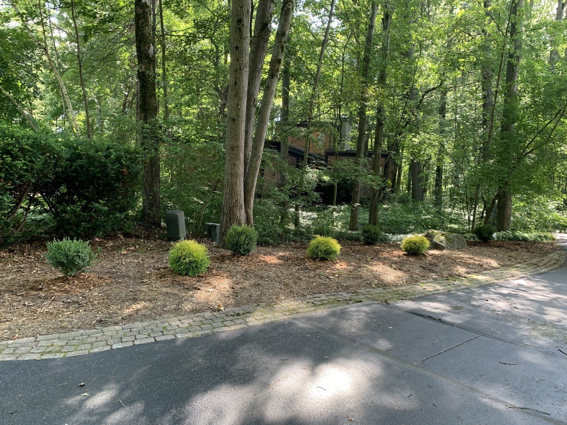 Trees on Landscape — Midland, MI — Maksymum Lawn and Landscaping