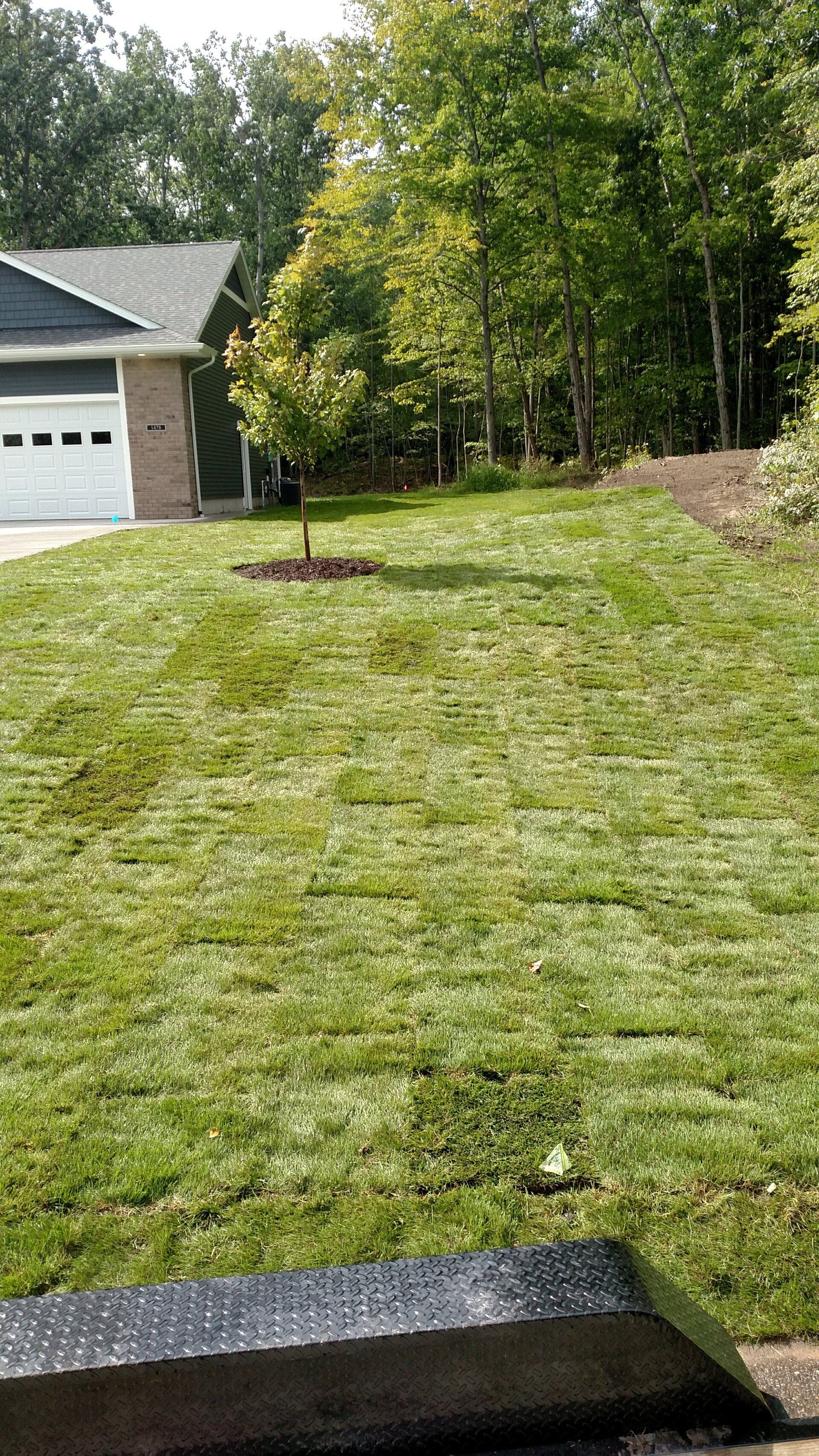 Lawn with Grass — Midland, MI — Maksymum Lawn and Landscaping