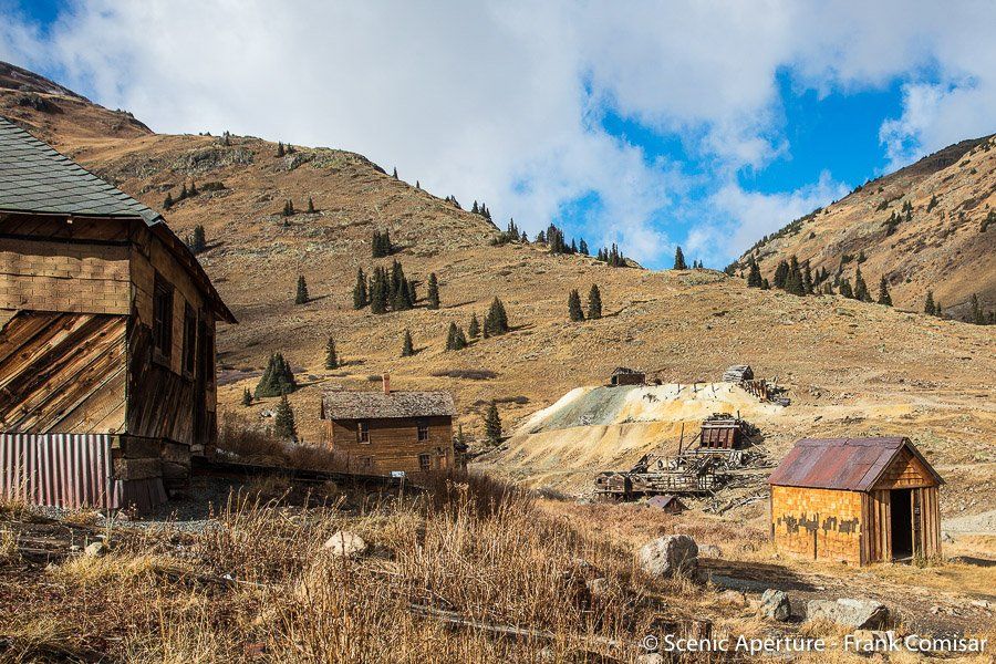 Colorado Wildflower Photography Silverton, CO 9703855853