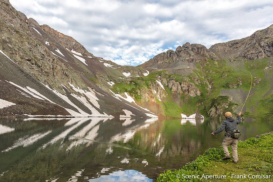 Colorado Wildflower Photography Silverton, CO 9703855853
