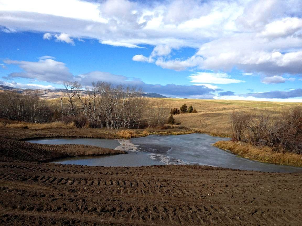 There is a small pond in the middle of a field.